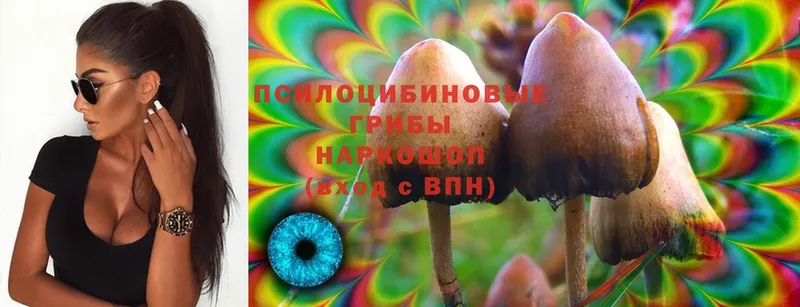 Псилоцибиновые грибы Magic Shrooms  закладки  Суоярви 